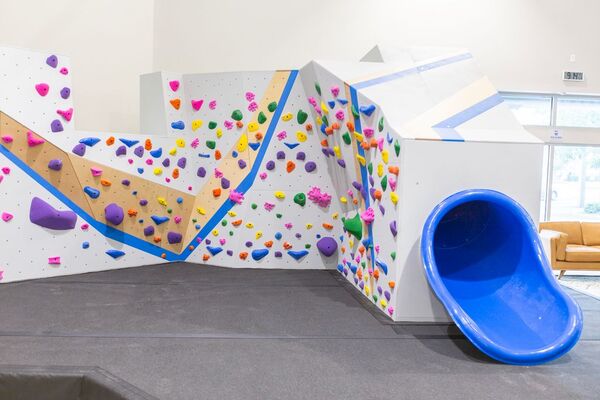 Central Rock Gym-Tampa