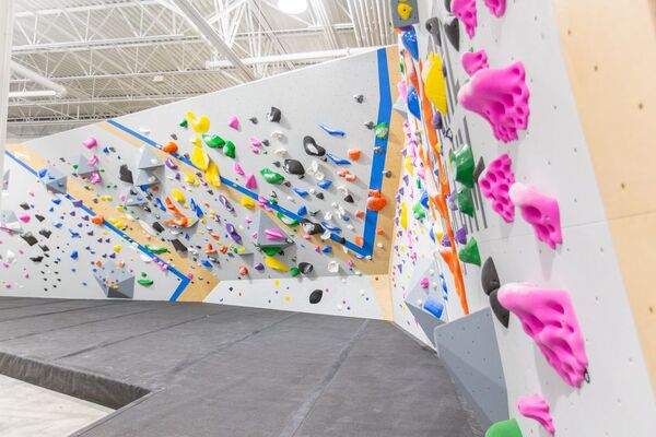 Central Rock Gym-Tampa