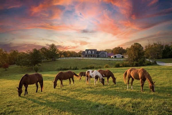 MP Events and Radiant Estates Retreats