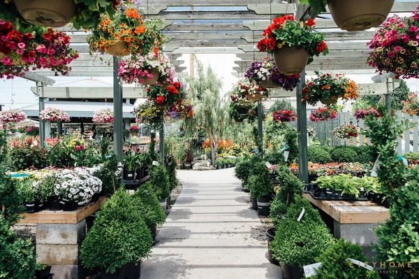 Cactus and Tropicals Salt Lake
