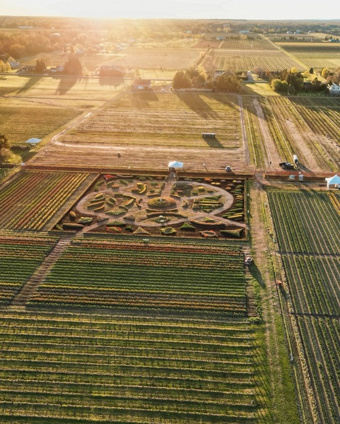 TASC Tulip Pick Farm