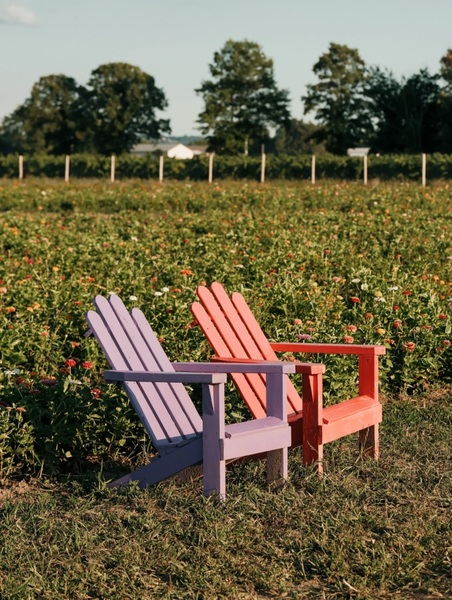 TASC Tulip Pick Farm