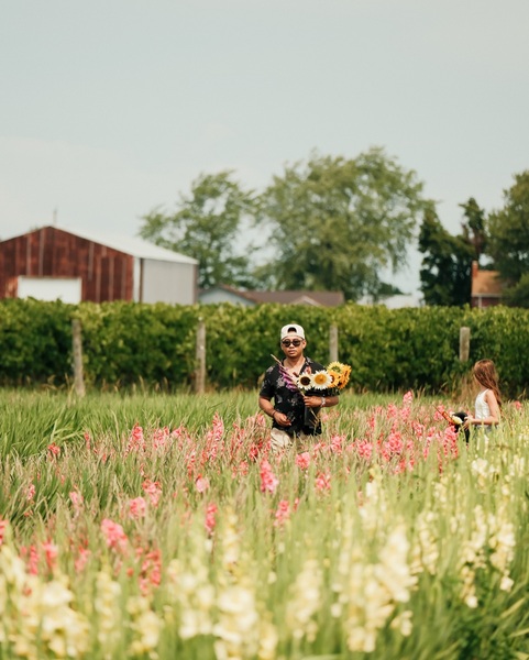 TASC Tulip Pick Farm