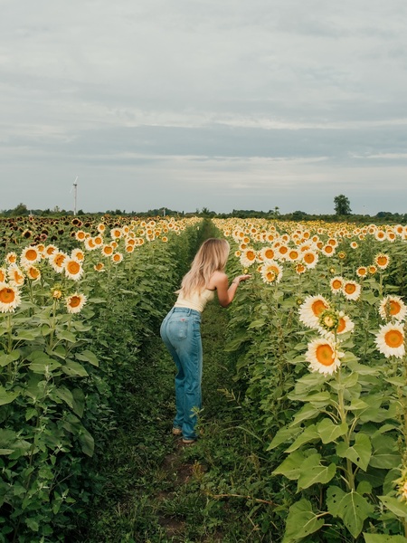 TASC Tulip Pick Farm