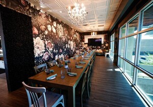 The Stove PDR, Tea Room, Main Room, Bar of Patio