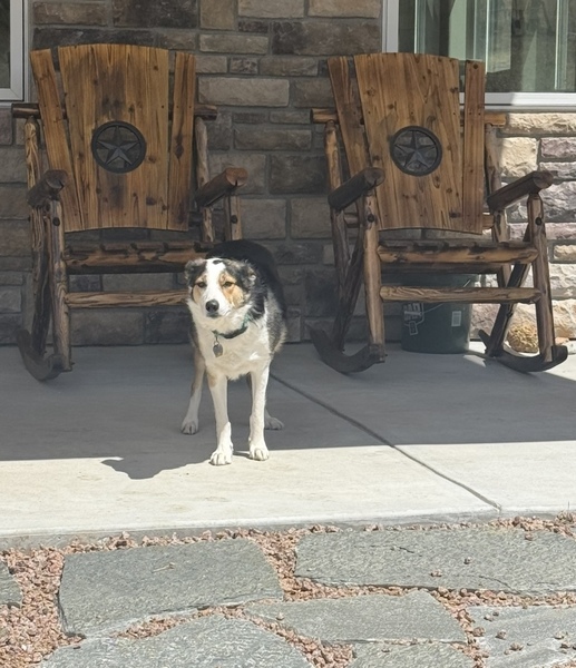 Arcadia Villa Ranch & Retreat