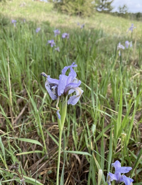 Arcadia Villa Ranch & Retreat