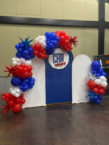 Chameleon Collective