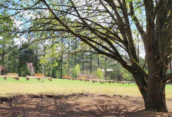 The Venues at Honey Grove