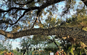 Additional Event Spaces