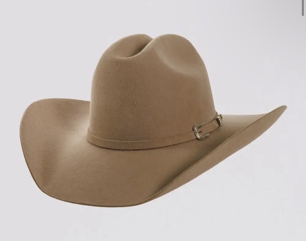 The Palomino Hat Bar