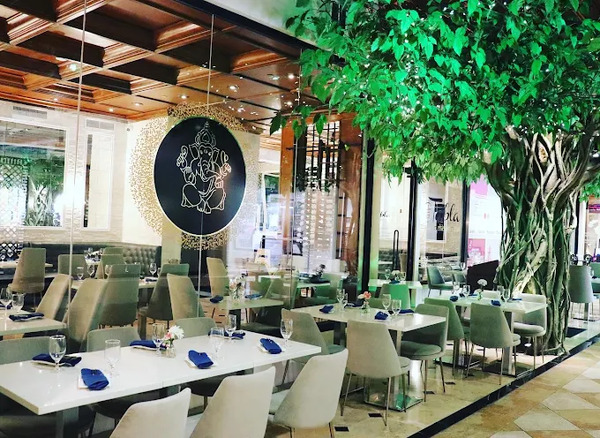 Tabla Indian Winter Park