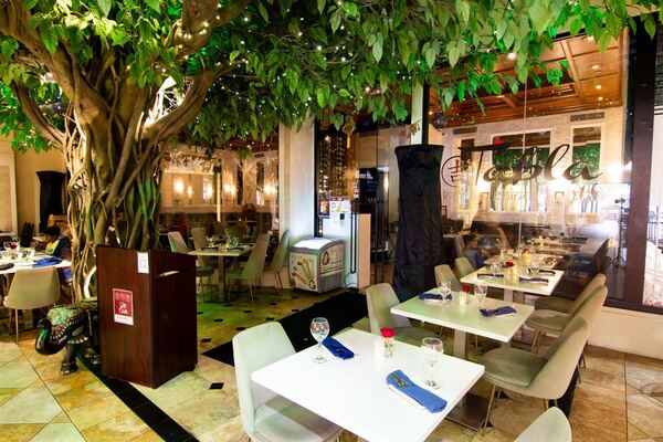 Tabla Indian Winter Park