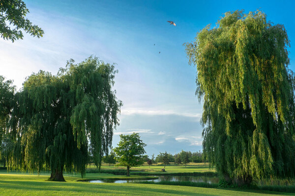 Hornby Glen Golf Course