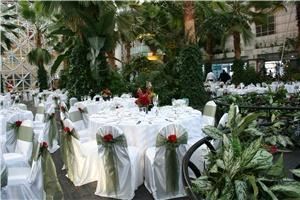 Chair Covers By Sylwia Schaumburg