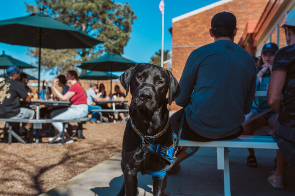 Goat Patch Brewing Company - Lincoln Center
