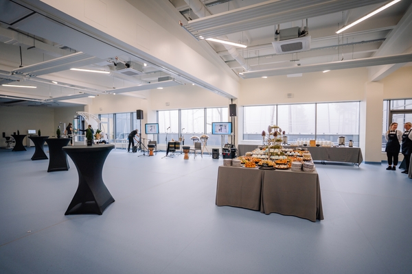 We'll Do It Cleaning, LLC