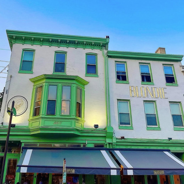 Blondie