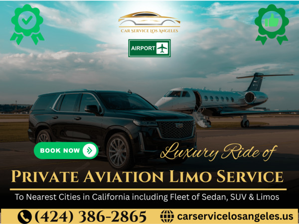 Book Private Aviation Limo Service in Whole California