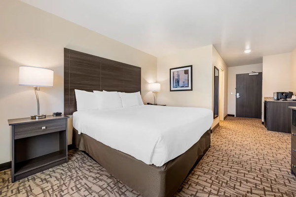 Comfort Inn & Suites Medina