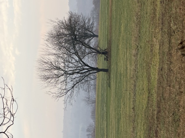 Bolton Congregational Church