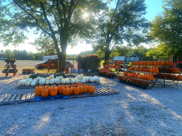 Waterman's Family Farm