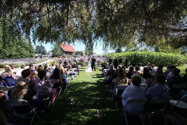 Purple Haze Lavender Farm