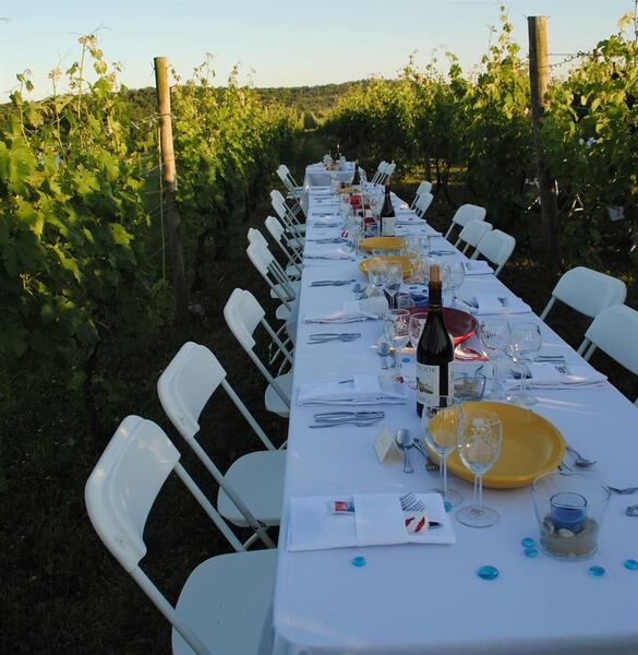 Millbrook Vineyards & Winery