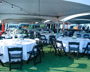 Outdoor Space (The Yard)