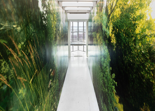 The Power Plant Contemporary Art Gallery