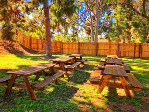 Miner's Ridge (Natural Shade)