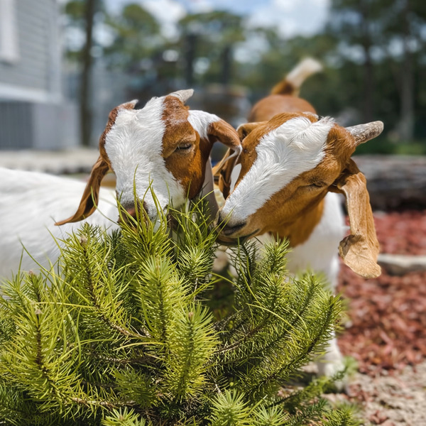 Umatilla Private Ranch by World Adventures