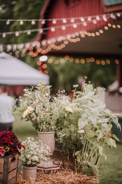 Museum of Appalachia