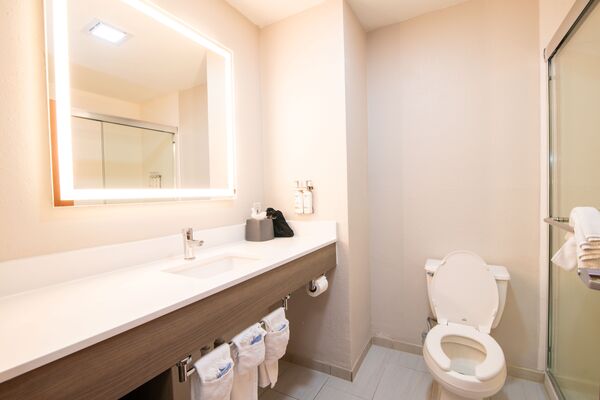 Holiday Inn Express & Suites College Station