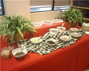 Creative Cappuccino Inc.