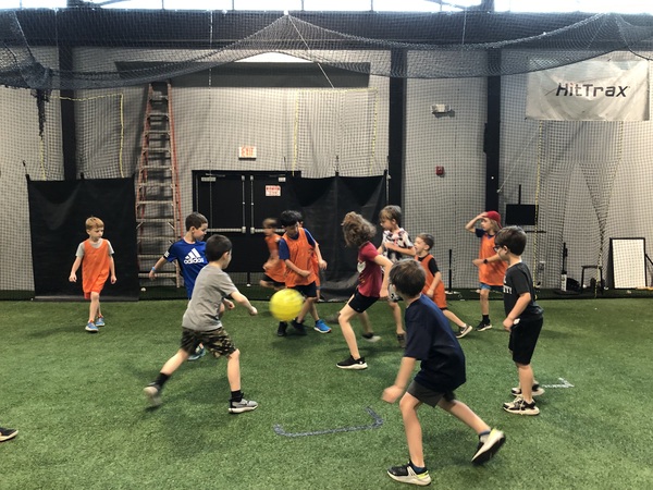 Elite Sports Factory