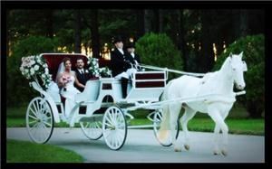 Platinum Carriage Company