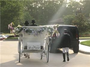 Platinum Carriage Company