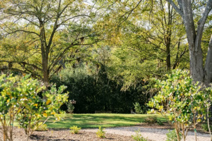 The Spring Bloom Garden