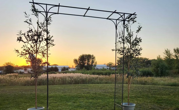 Prosper Country Warehouse & Event Hall