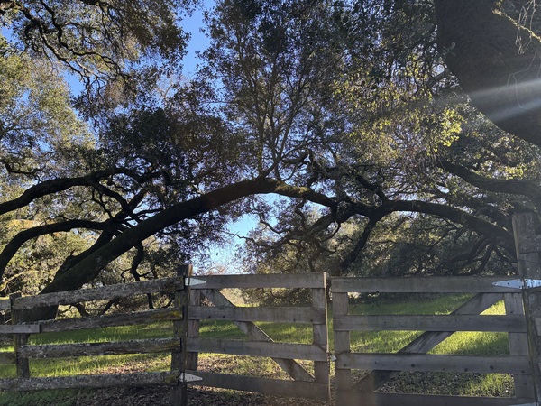 Bennett Valley Grange