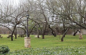 The Pergola