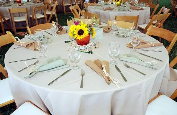 Lions Tigers & Bears Sanctuary