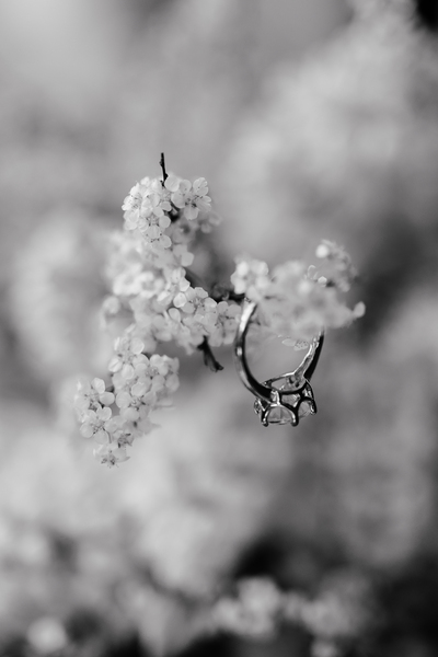 Fabian Fernandes Films