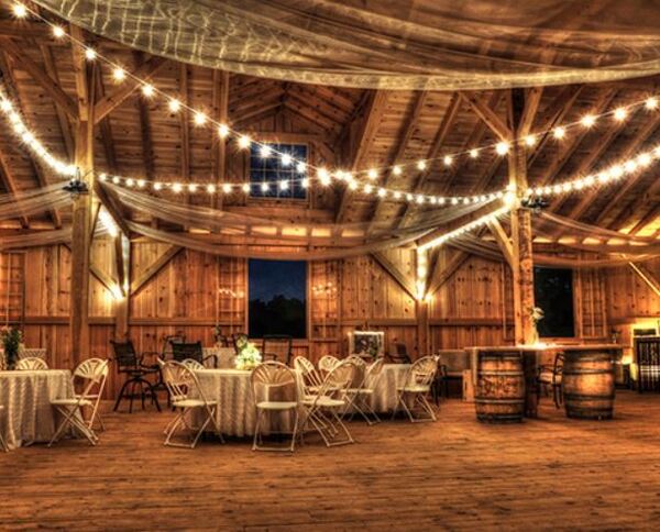 Vineyards of Mary's Meadow