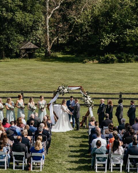 Vineyards of Mary's Meadow