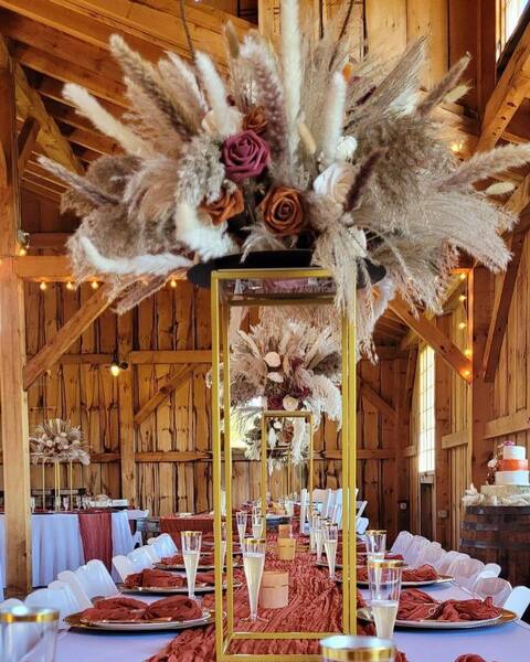 Vineyards of Mary's Meadow