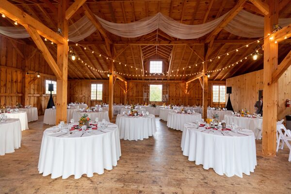 Vineyards of Mary's Meadow