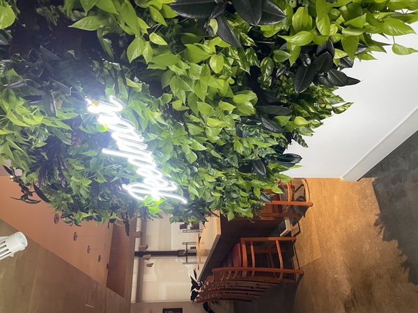 Reedmor Books & Brews