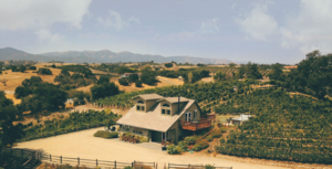 The Retreat at 11 Oaks